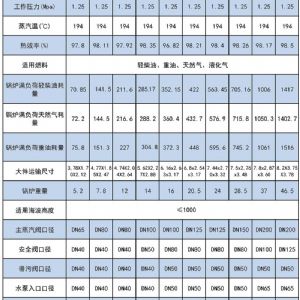 WNS系列燃油(燃气)蒸汽锅炉